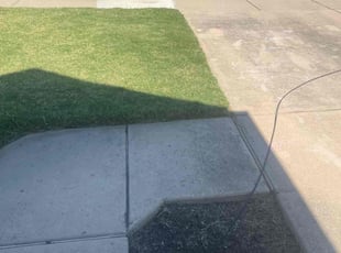Gregory B.'s lawn service service result
