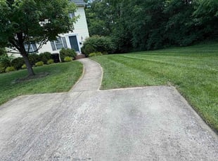 Luis N.'s turf care service result