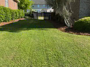 Maria G.'s lawn care service result