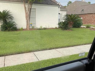 Alex H.'s lawn care service result