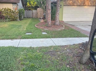 Adam K.'s lawn care services service result