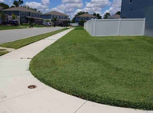 Dwaneise S.'s lawn service service result