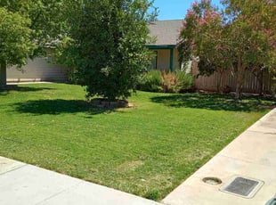 Jeremy L.'s lawn care service result