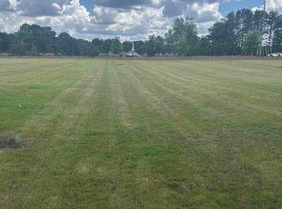 George F.'s turf care service result