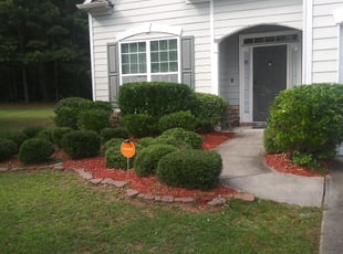 Mary Z.'s Bush Trimming service result
