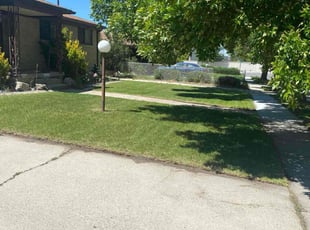Alice P.'s grass maintenance service result