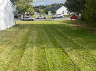 Scott T.'s turf care service result