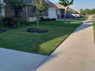 Jason N.'s lawn care services service result
