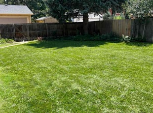 Jeffrey W.'s turf maintenance service result