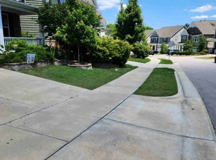 Joseph C.'s lawn care services service result