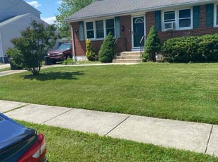 Sabrina G.'s Bush Trimming service result