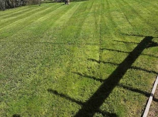 Amber S.'s lawn care services service result