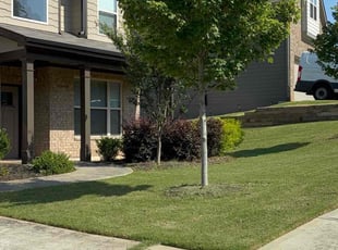 Judy M.'s lawn service service result