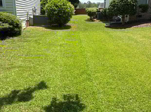 Matthew N.'s lawn service service result