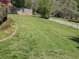 Stephanie G.'s turf care service result
