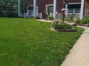 Marlene M.'s grass cutting service result