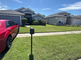 Todd S.'s grass cutting service result