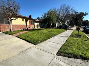 Sheila P.'s lawn service service result