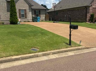 Nicole F.'s lawn maintenance service result