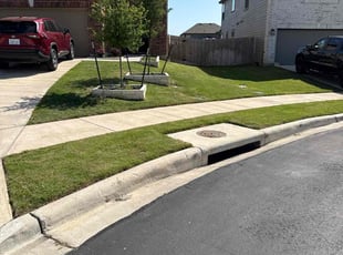 Steven D.'s lawn service service result