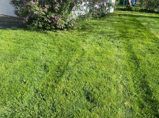 Mary P.'s lawn care service result