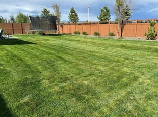 Mark R.'s lawn care service result