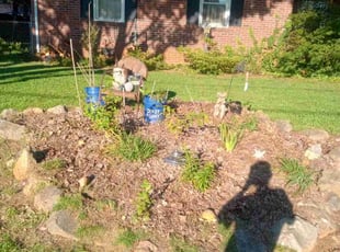 Eric W.'s Flower Bed Weeding service result