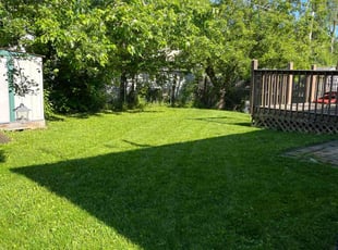 Kathy L.'s grass cutting service result