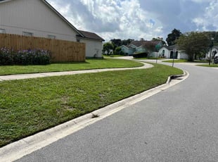 Eduardo C.'s lawn care services service result