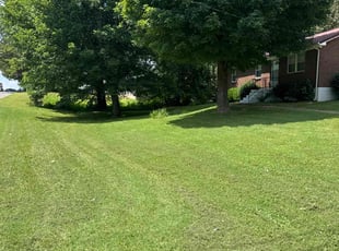 John B.'s lawn care service result