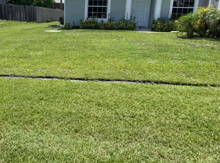 Chris B.'s grass cutting service result