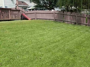 Christopher B.'s lawn service service result