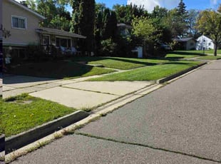 Aijaz D.'s grass maintenance service result