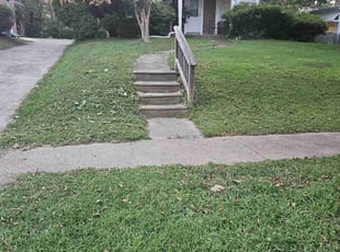 Terri S.'s lawn maintenance service result