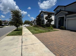 Maurice G.'s Long Grass Cleanup service result