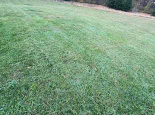 LeRoy A.'s turf care service result