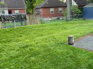 Jamie W.'s turf maintenance service result