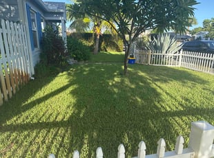 Dean M.'s Leaf Removal service result