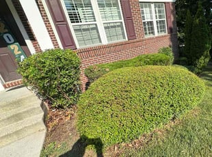 Latosha G.'s Bush Trimming service result