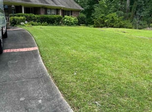 Tyhedia W.'s turf care service result