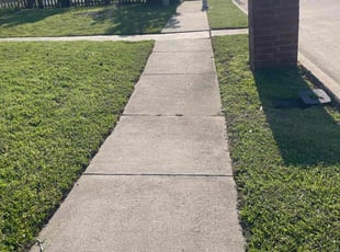 Zaneta B.'s lawn care services service result