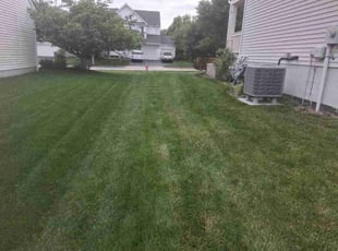 Craig A.'s lawn maintenance service result