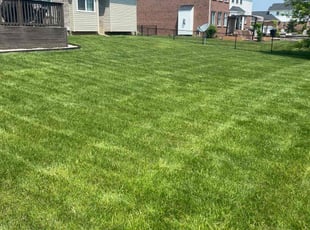 Lindsay R.'s lawn maintenance service result