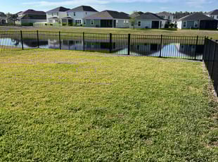 Michael M.'s lawn service service result