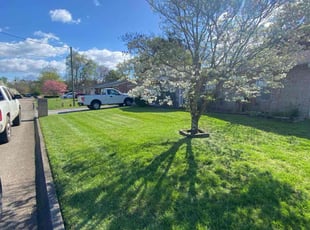 Lee T.'s grass maintenance service result