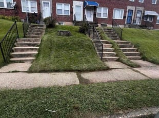 Rudolf C.'s lawn service service result