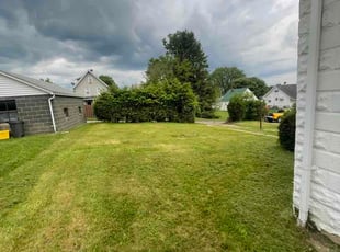 Seth P.'s lawn maintenance service result