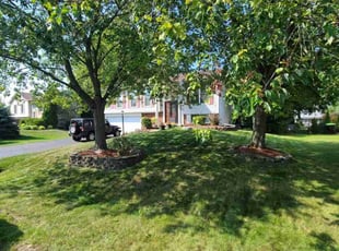 Courtney P.'s turf maintenance service result