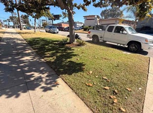 Lynda M.'s grass cutting service result