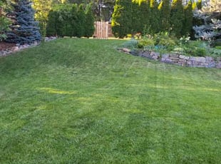 Terri L.'s turf maintenance service result